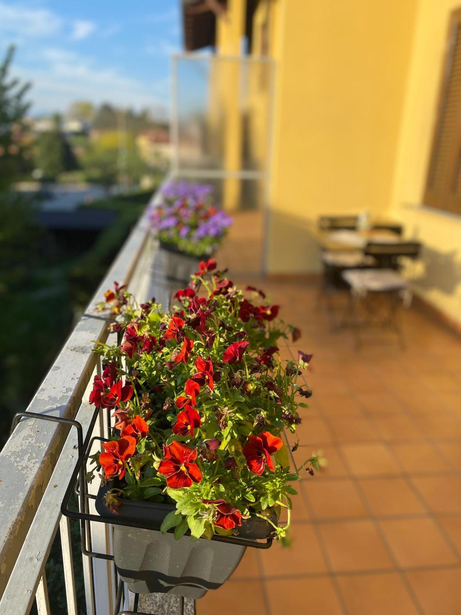 Appartamento Anna Lungo Fiume - Lago Maggiore Sesto Calende Luaran gambar